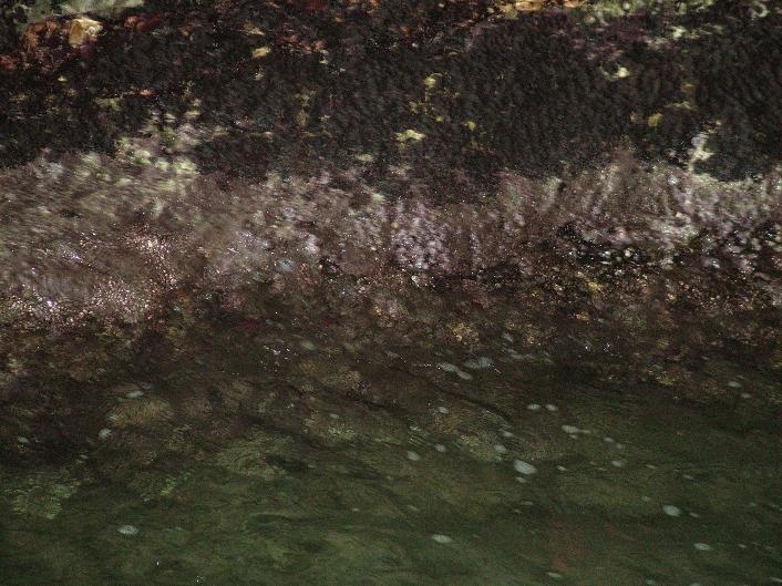 Gargano: una cartolina per voi
